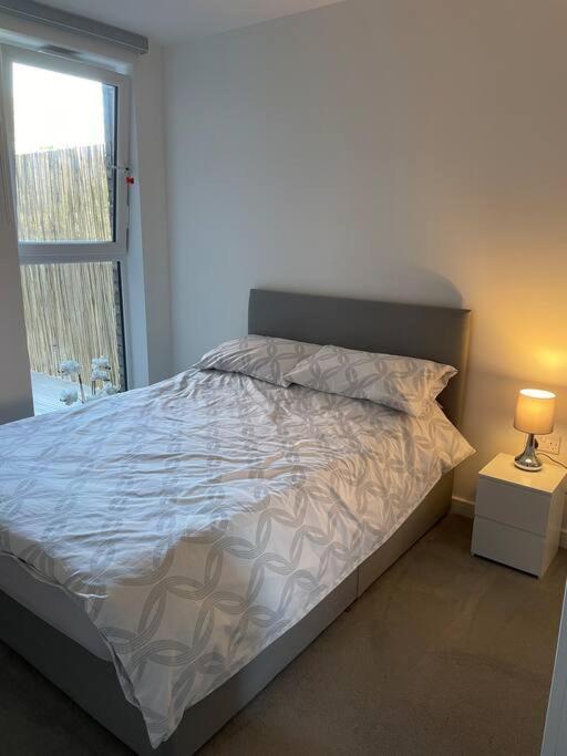 Spacious Apartment In The Heart Of Челмсфорд Екстер'єр фото